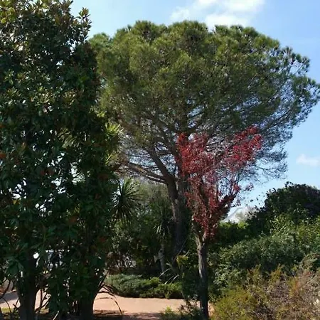 A Nyaraló Rosa Marina